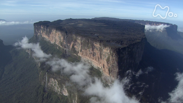 Nhkオンデマンド シリーズ世界遺産１００ 垂直落差９７９ｍ カナイマ国立公園 ベネズエラ