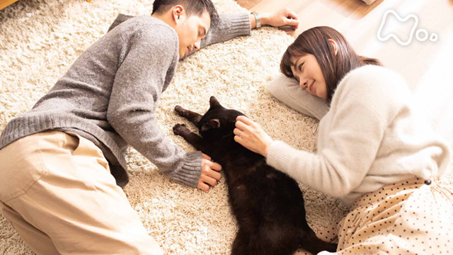 NHKオンデマンド | 捨て猫に拾われた男