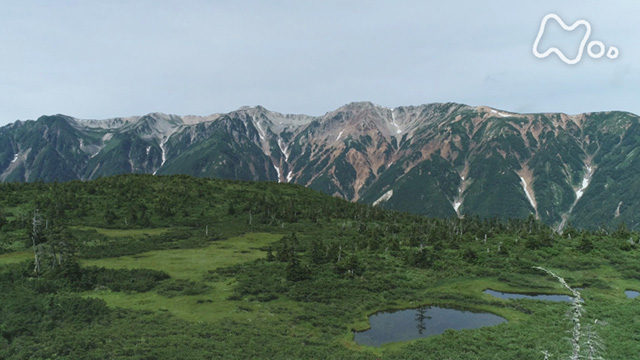 Nhkオンデマンド 躍動する大自然 奇跡の絶景ストーリー 北アルプス 雲上の桃源郷 日本一の峡谷 黒部を行く
