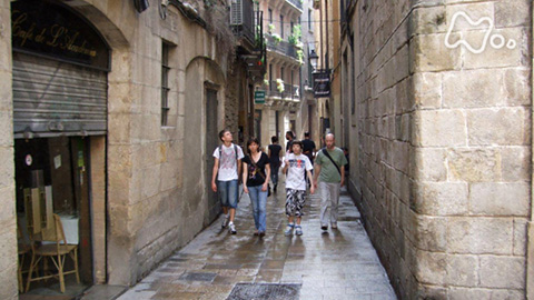 世界ふれあい街歩き [スペイン] バルセロナ旧市街/バルセロナ新市街 [DVD] khxv5rg