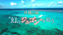 ＢＳ４Ｋ特集「沖縄の海　“幻のジュゴン”を追う」